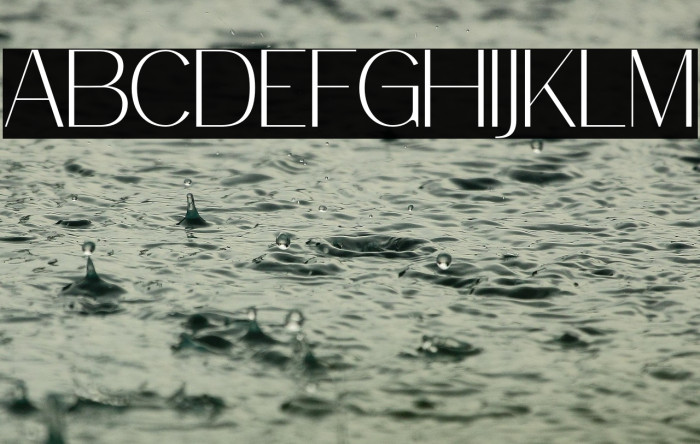 RosesBolero Example 3