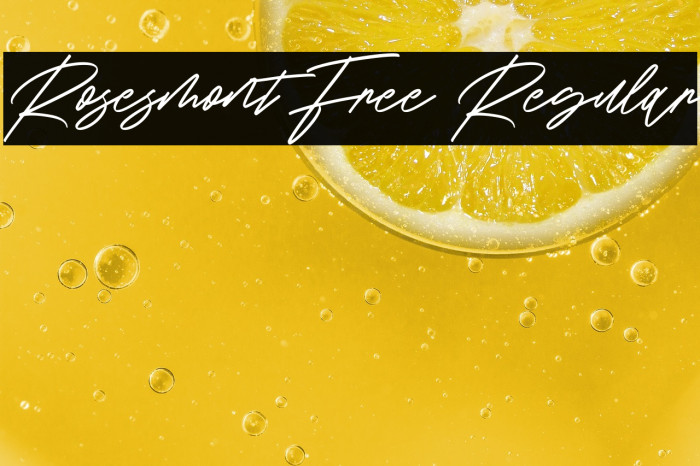 Rosesmont Free Regular Example 3