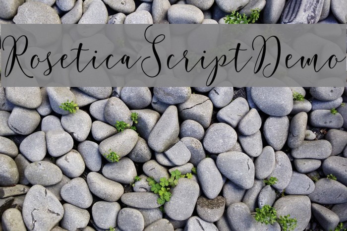 RoseticaScriptDemo Example 3