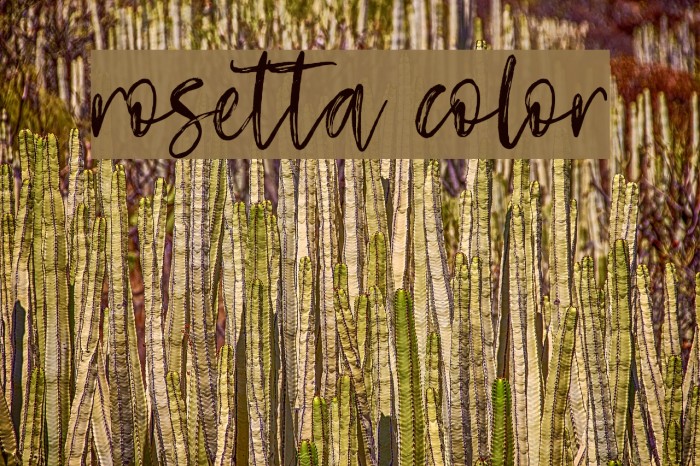 Rosetta Color Font examples