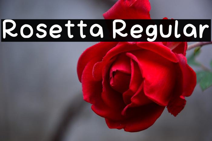 Rosetta Regular Example 2