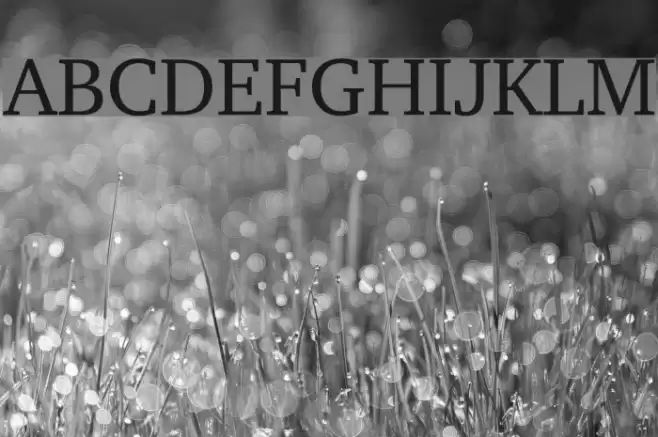 Rosetta Tones Font examples