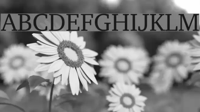 Rosetta Tones Font examples