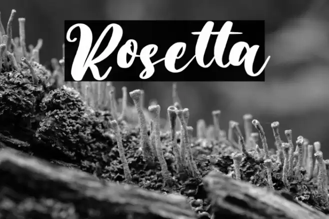 Rosetta Font examples