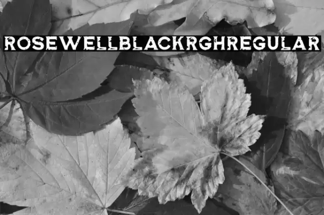 RosewellBlackRGHRegular Font examples