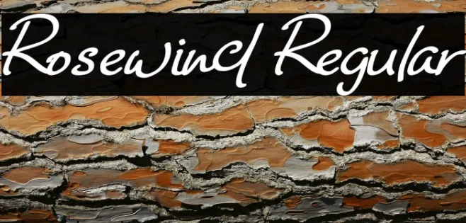 Rosewind Regular Example 3