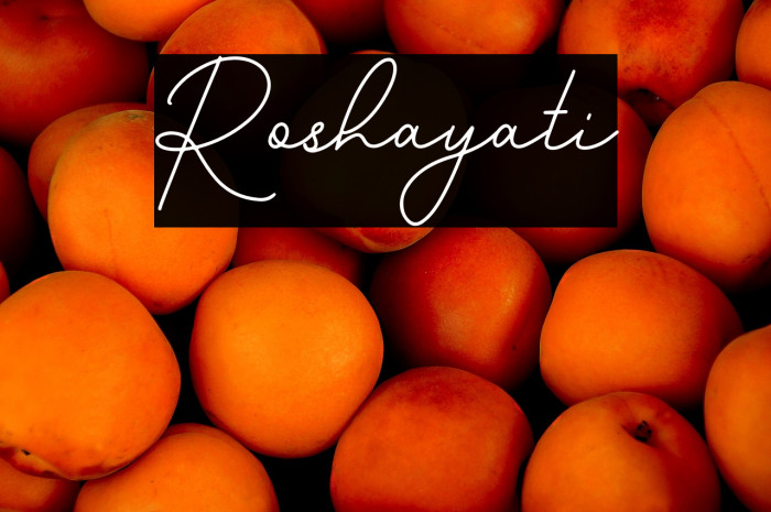 Roshayati Example 1