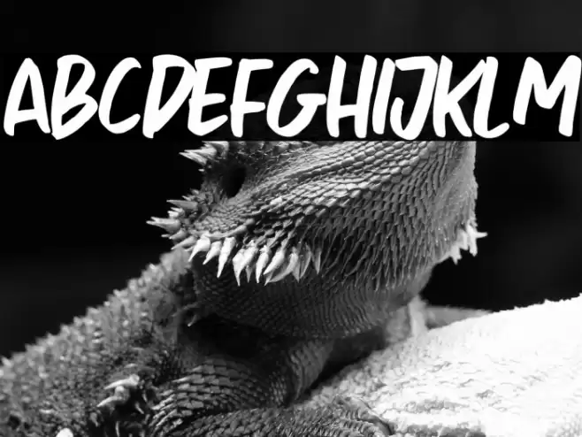 Rosheila Font examples