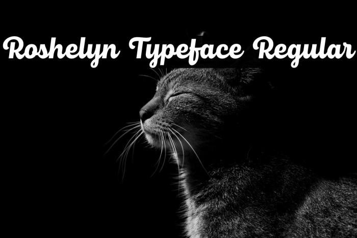 Roshelyn Typeface Regular Example 1