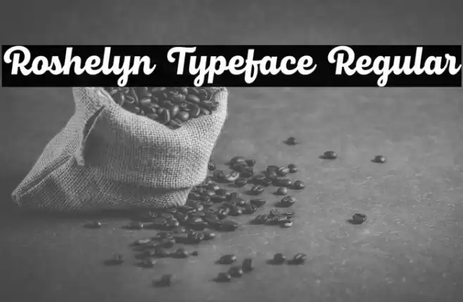 Roshelyn Typeface Regular フォント examples