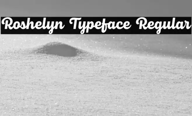 Roshelyn Typeface Regular フォント examples