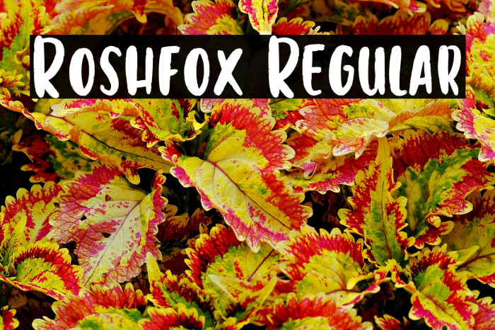 Roshfox Regular Example 2