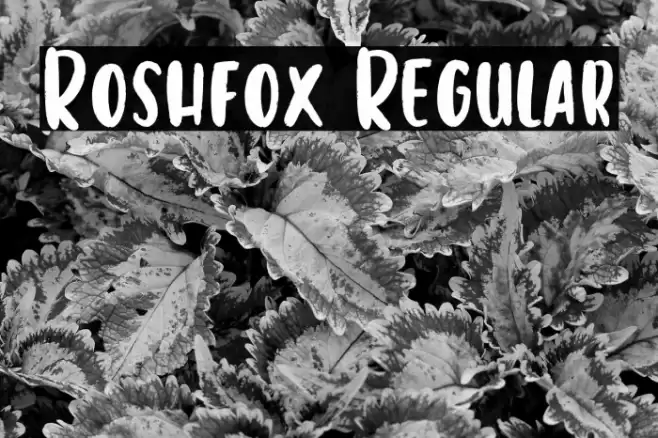 Roshfox Regular Schriftart examples