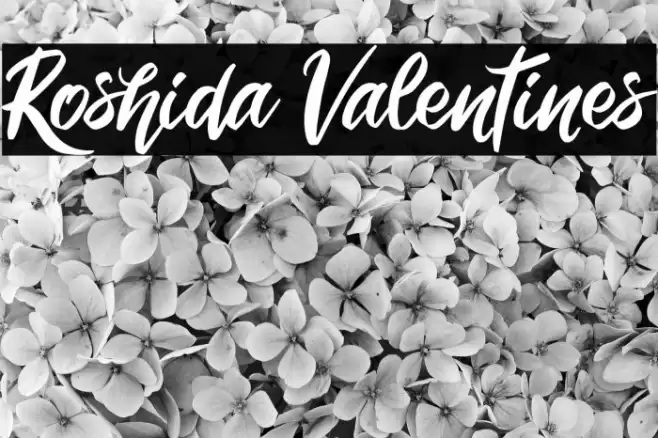 Roshida Valentines Font examples