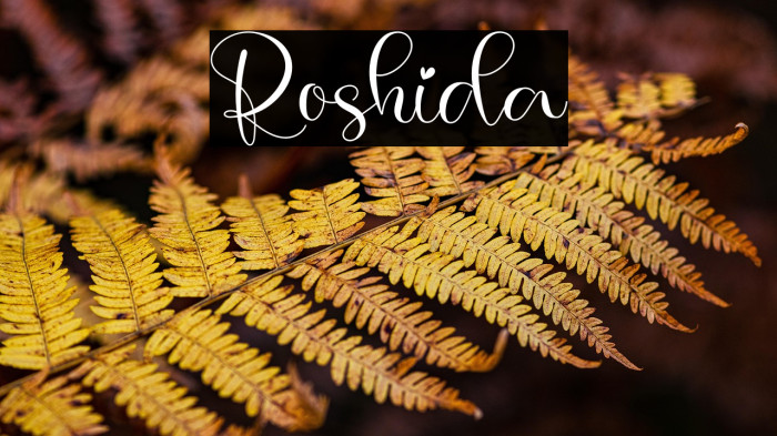 Roshida Example 2