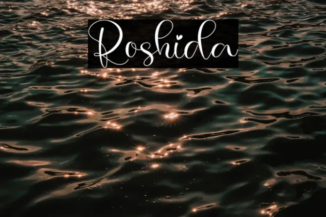 Roshida Example 3