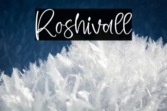 Roshivall Example 1