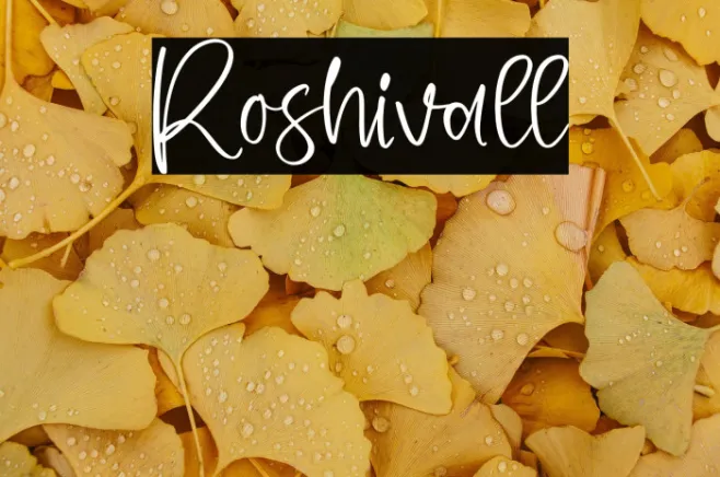Roshivall Example 3