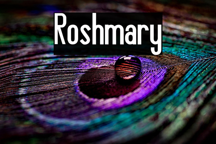 Roshmary Example 2