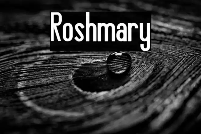 Roshmary Font examples