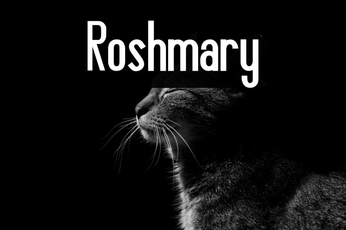 Roshmary Example 3