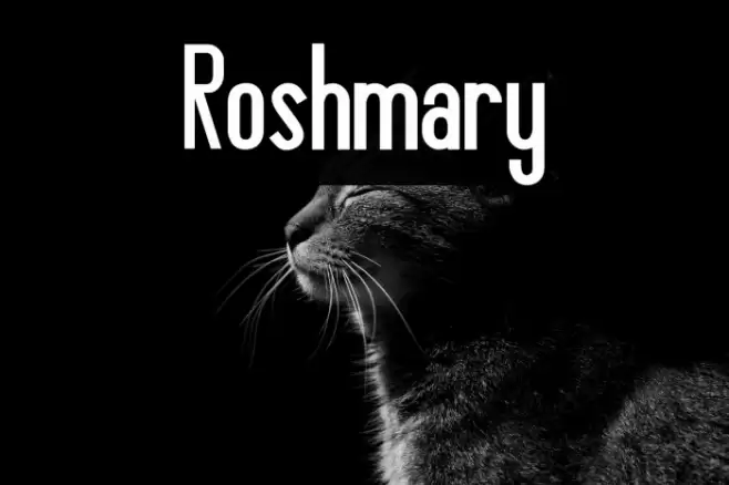 Roshmary Font examples