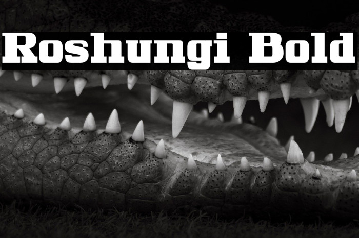 Roshungi Bold Example 2