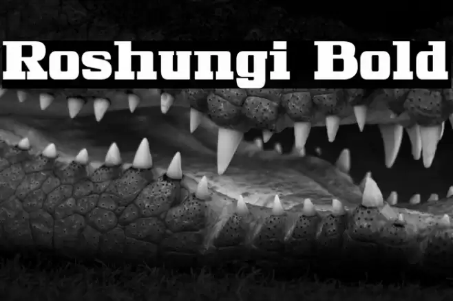 Roshungi Bold Font examples
