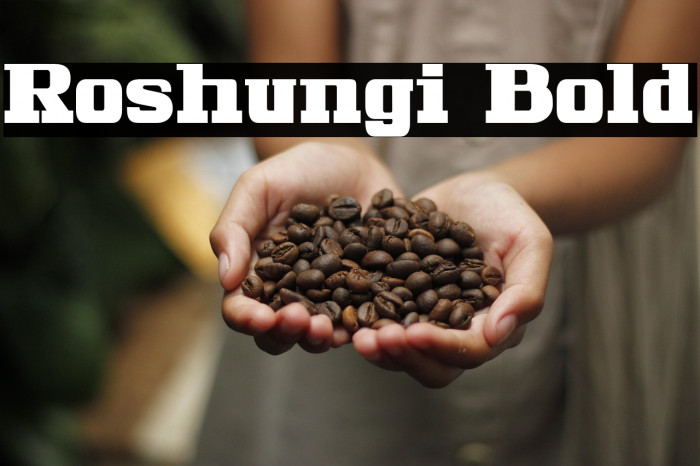 Roshungi Bold Example 3