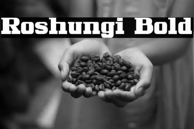 Roshungi Bold Font examples