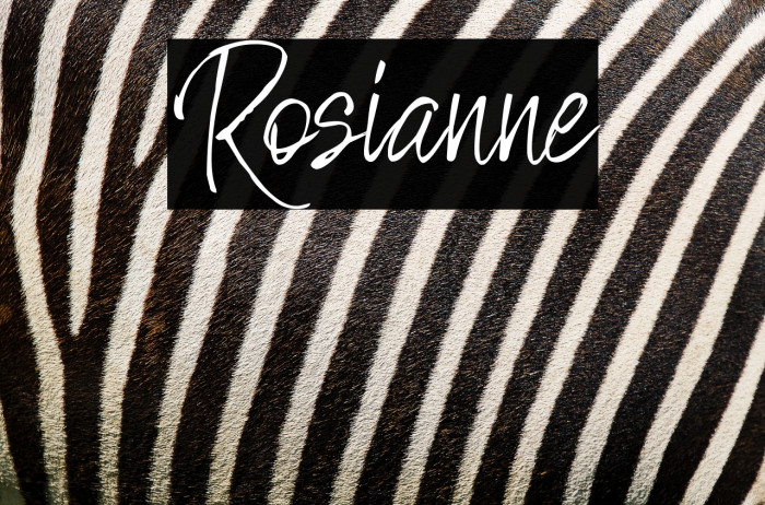 Rosianne Example 3