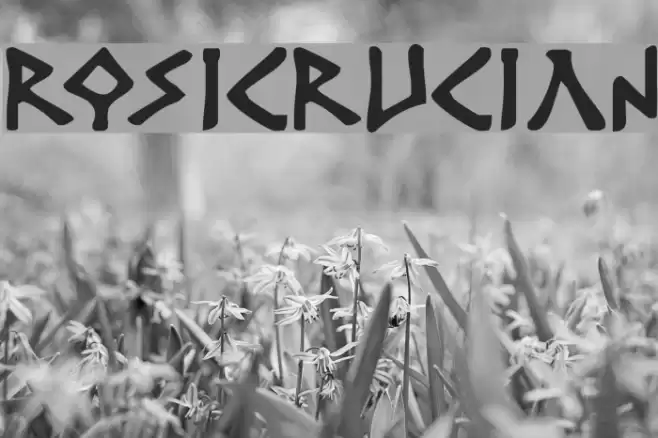 Rosicrucian フォント examples