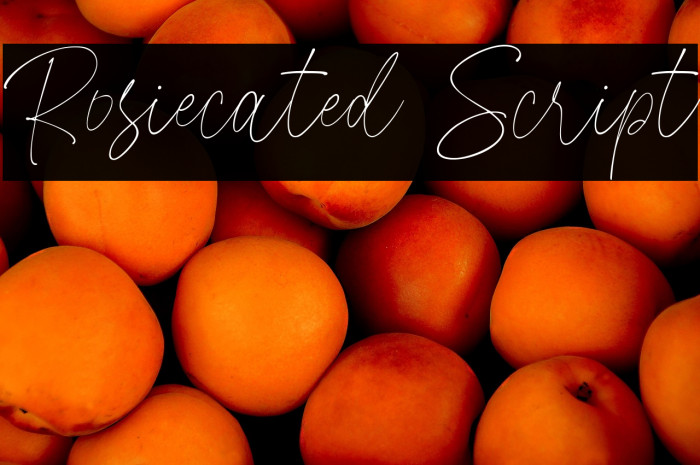 Rosiecated Script Example 1