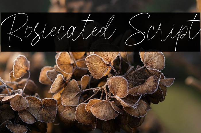 Rosiecated Script Example 2