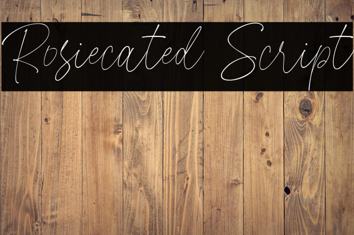 Rosiecated Script Example 3