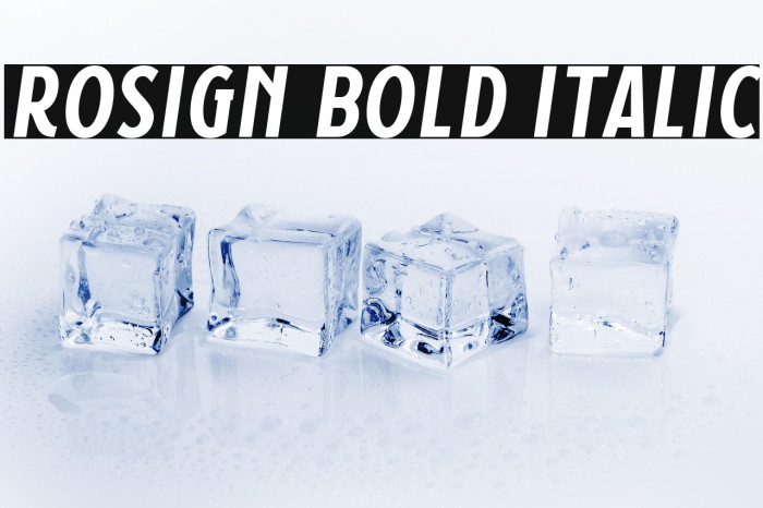 Rosign Bold Italic Example 1