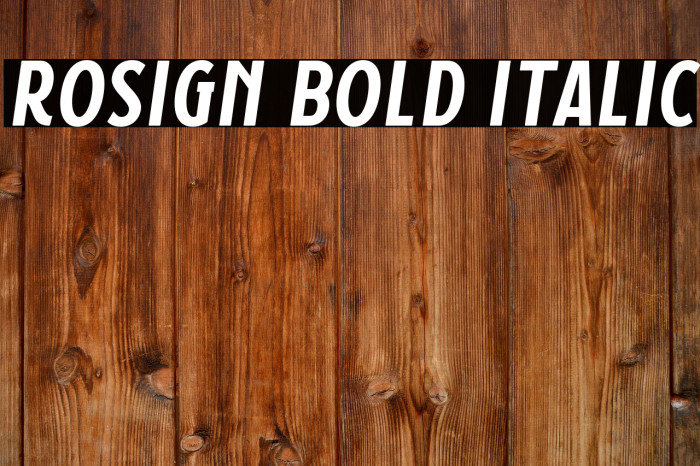 Rosign Bold Italic Example 2