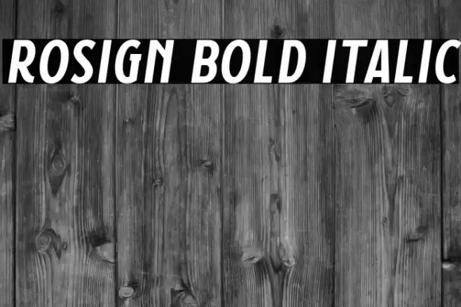 Rosign Bold Italic Font examples