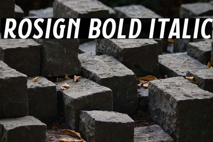Rosign Bold Italic Example 3