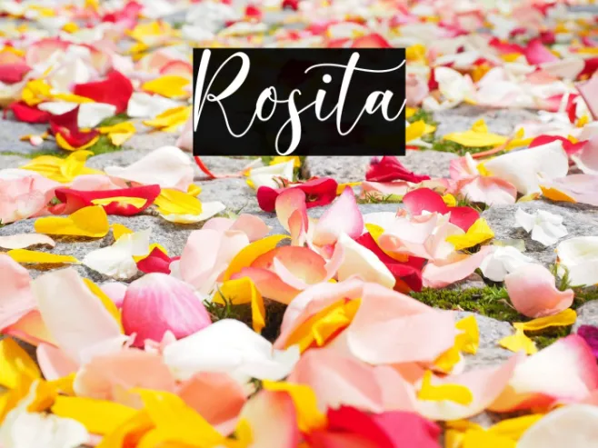 Rosita Example 1