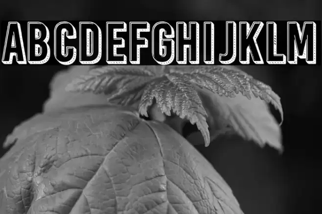 Rosita's Dinner Font examples