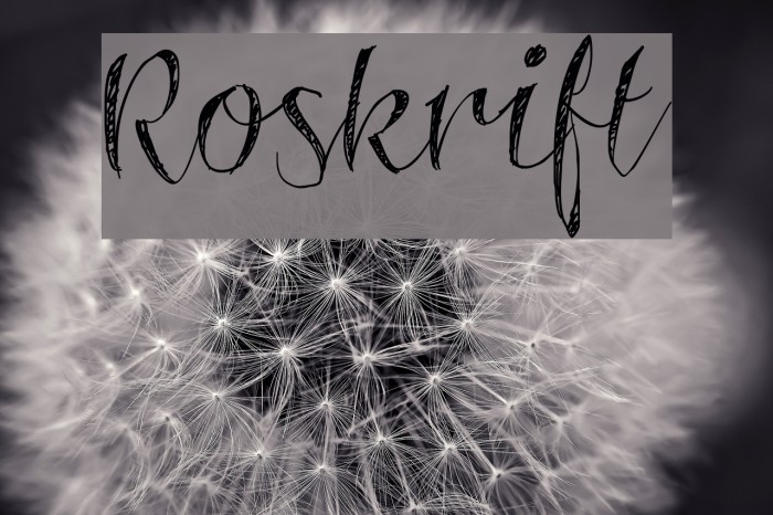 Roskrift Font examples