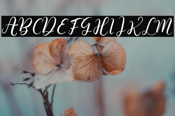 Roslitta Aganta Example 2