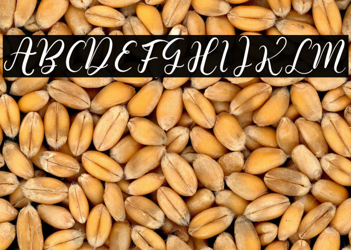 Roslitta Aganta Example 3