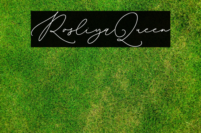 RosliyaQueen Example 2