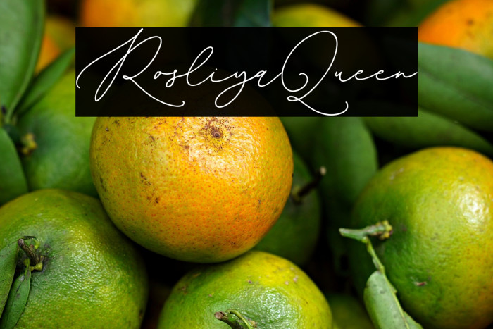 RosliyaQueen Example 3