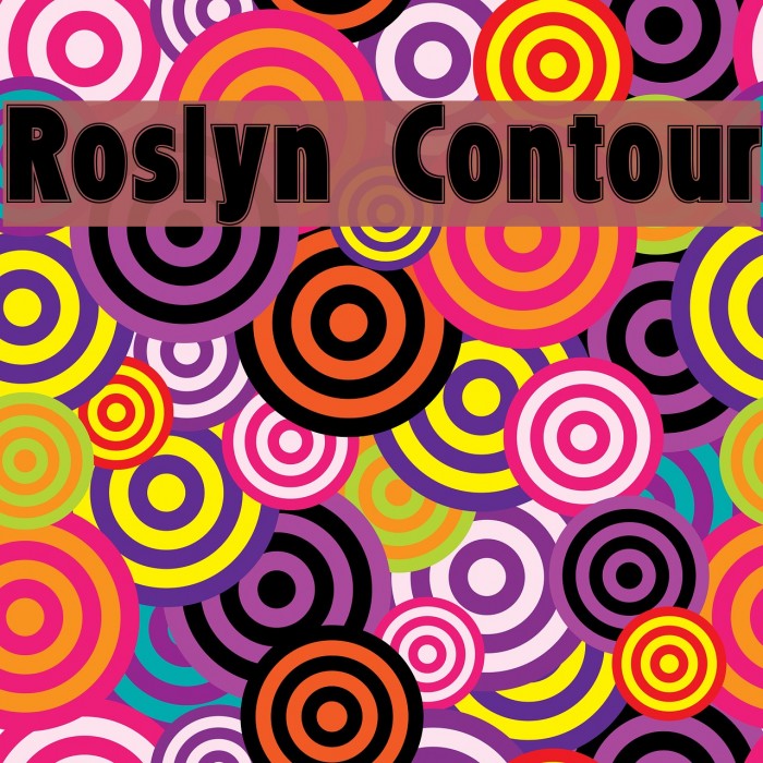 Roslyn Contour Example 2