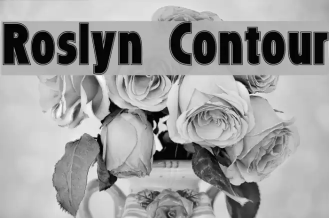 Roslyn Contour Font examples