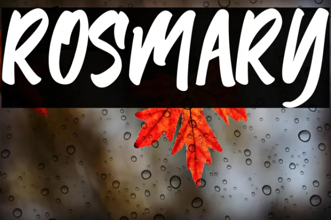 Rosmary Example 3