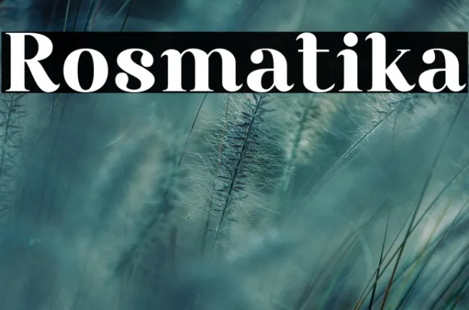 Rosmatika Example 1